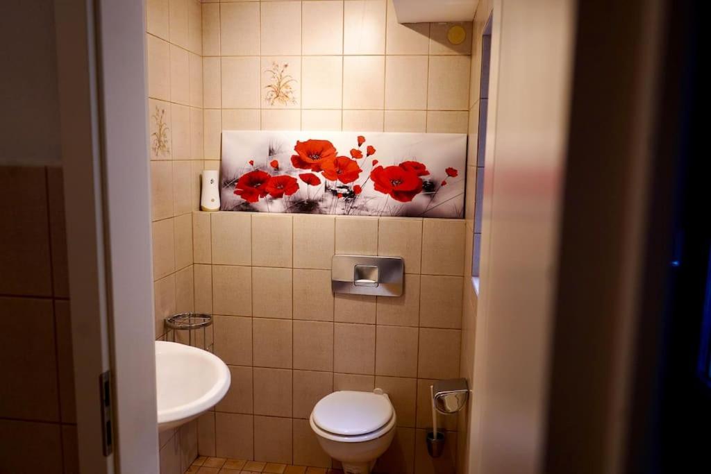 Helle Kellerwohnung Im Gruenen Mit Sauna كولونيا المظهر الخارجي الصورة